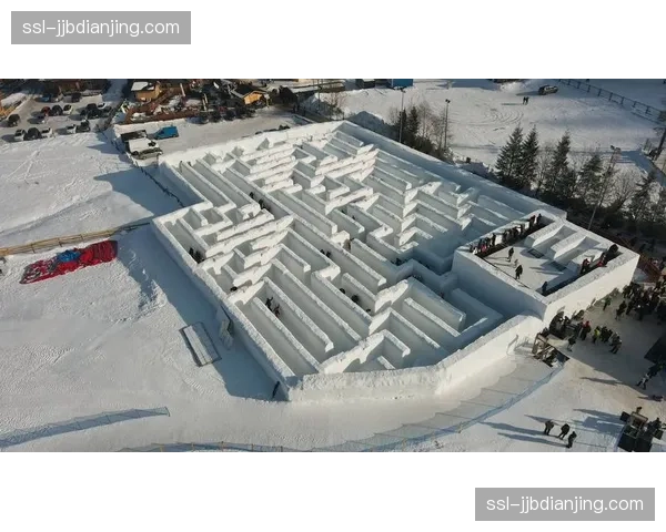 波兰雪上项目奖牌分布特点 中欧国家战力发展模式研究